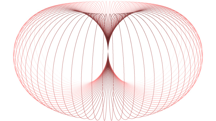 horn torus perspectively